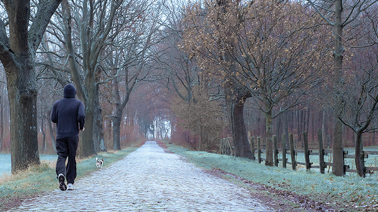 13&deg; Crossmedia Agentur - LOCAL MAG