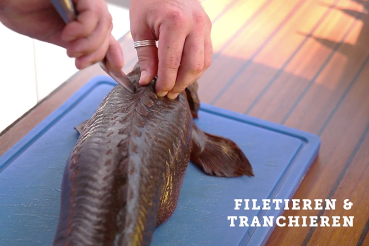 13&deg; Crossmedia Agentur - FISCH KAUF HAUS