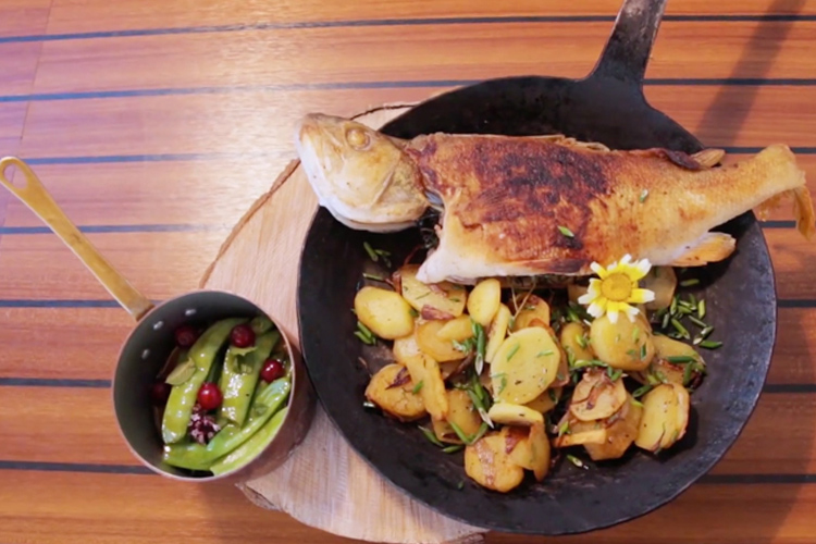 13&deg; Crossmedia Agentur - FISCH KAUF HAUS