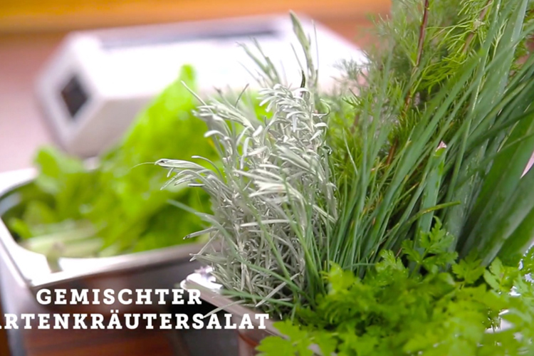 13&deg; Crossmedia Agentur - FISCH KAUF HAUS