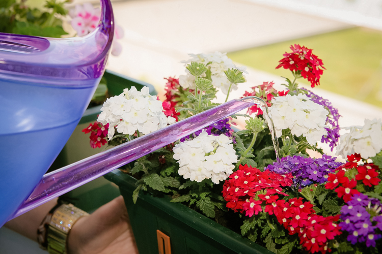 13&deg; Crossmedia Agentur - Neuwoges SeniorenWohnen