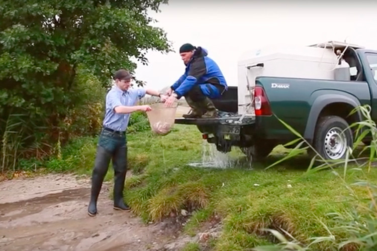 13&deg; Crossmedia Agentur - Müritzfischer Dokus