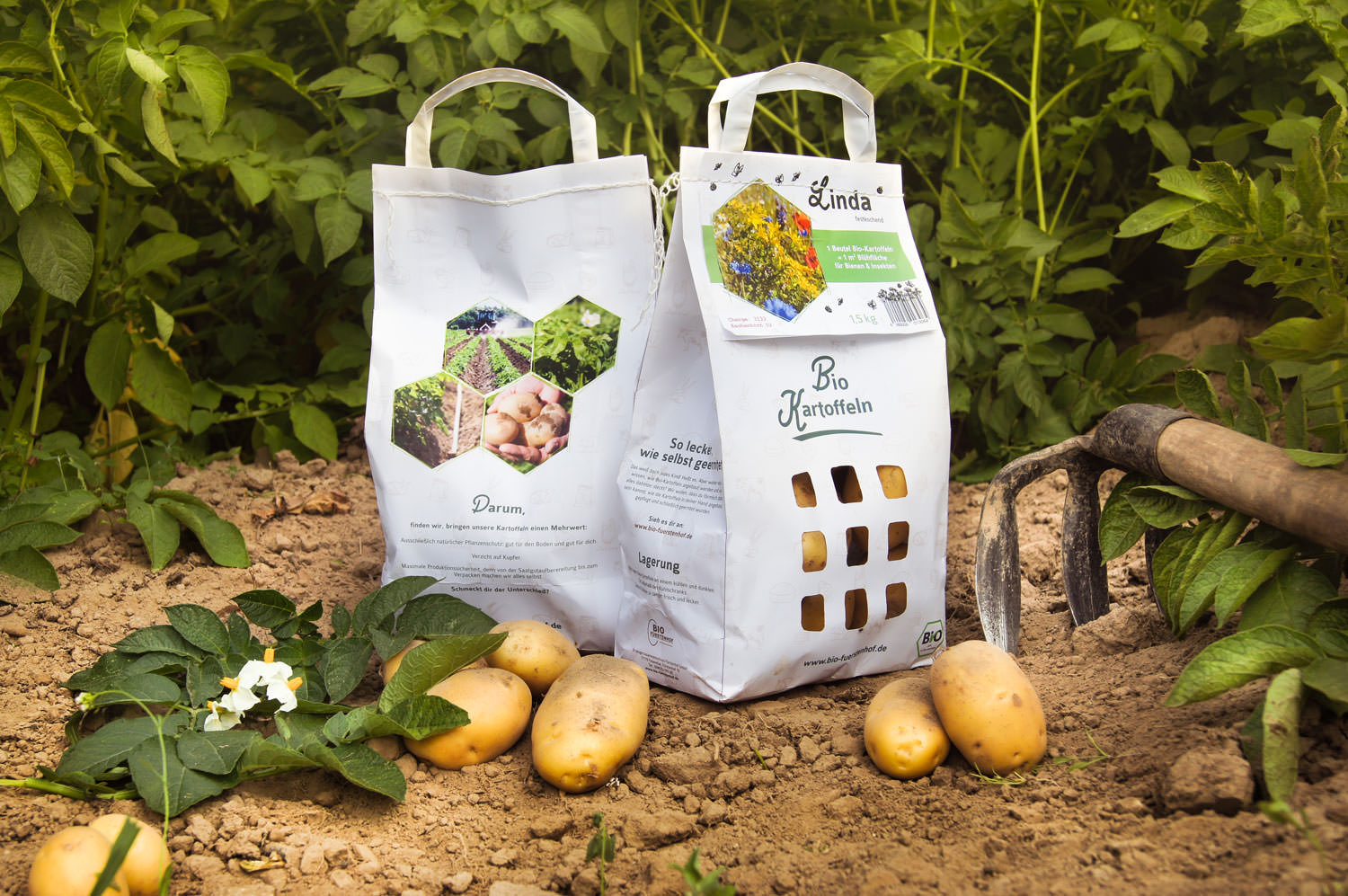 13&deg; Crossmedia Agentur - Bio Fürstenhof