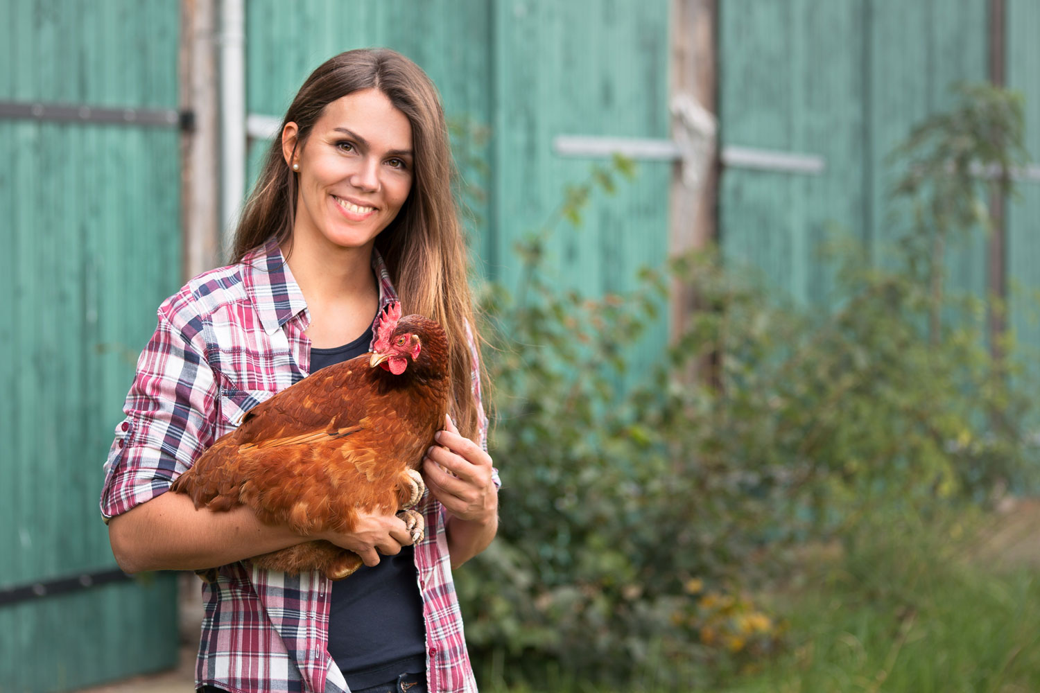 13&deg; Crossmedia Agentur - Bio Fürstenhof